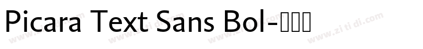 Picara Text Sans Bol字体转换 Picara Text Sans Bol字体转换